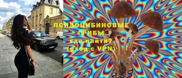 стафф Киренск