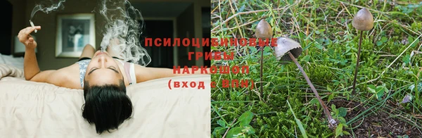 MESCALINE Киреевск
