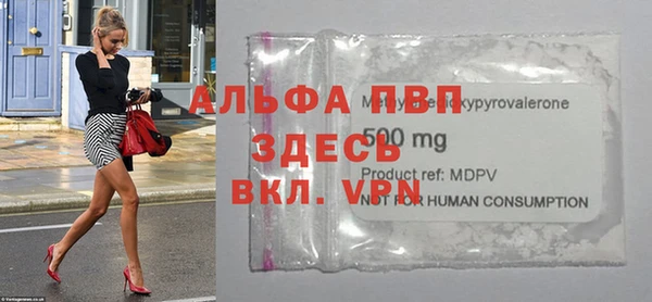 стафф Киренск
