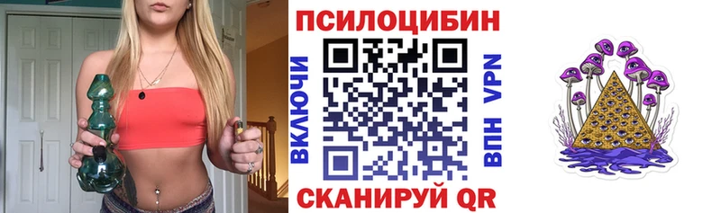 Купить закладки  Бологое  Галлюциногенные грибы мицелий 