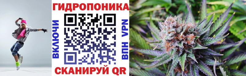Конопля гибрид  Купить  Бологое 